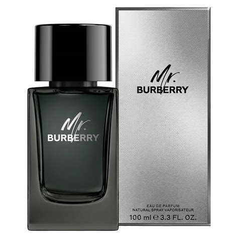 mr burberry edp fragrantica.